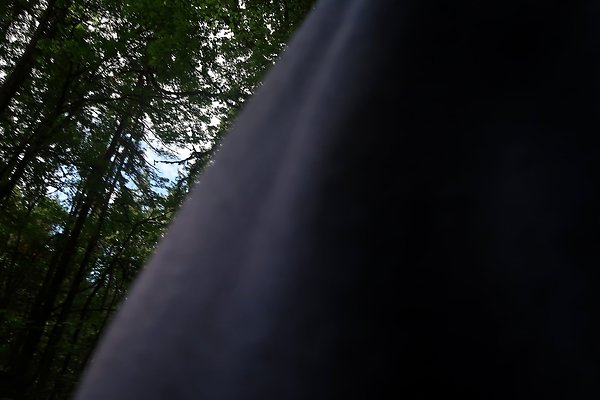 whatcomfalls2023 - 35