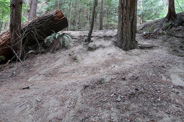 whatcomfalls2023 - 59