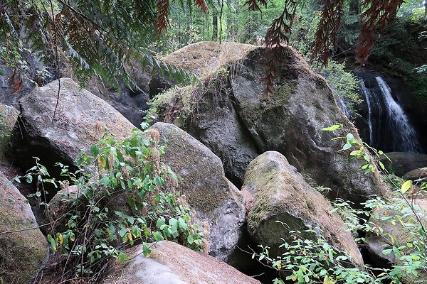 whatcomfalls2023 - 20