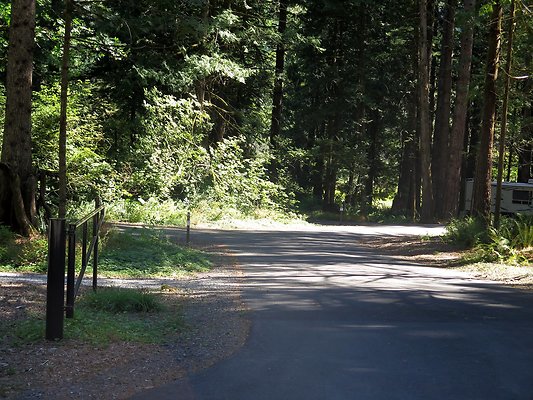 Silverlake park - 110