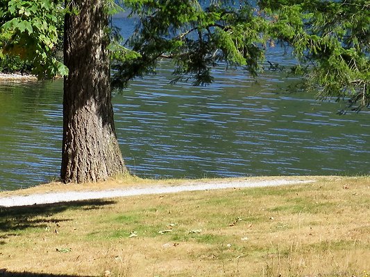 Silverlake park - 46