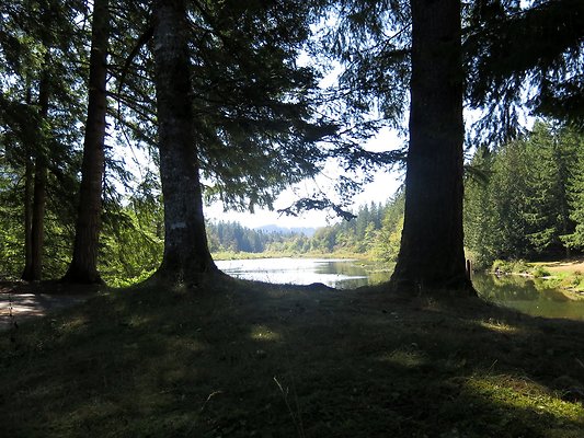 Silverlake park - 51