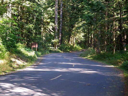 Silverlake park - 10