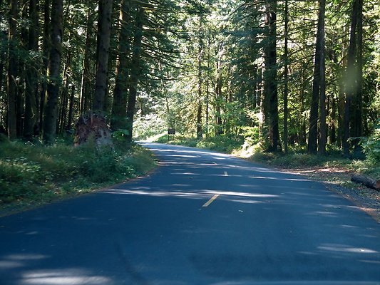 Silverlake park - 68