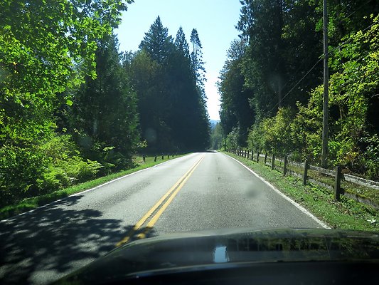 Silverlake park - 120