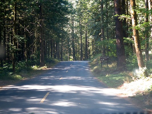 Silverlake park - 65