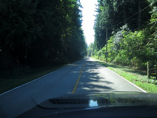 Silverlake park - 121