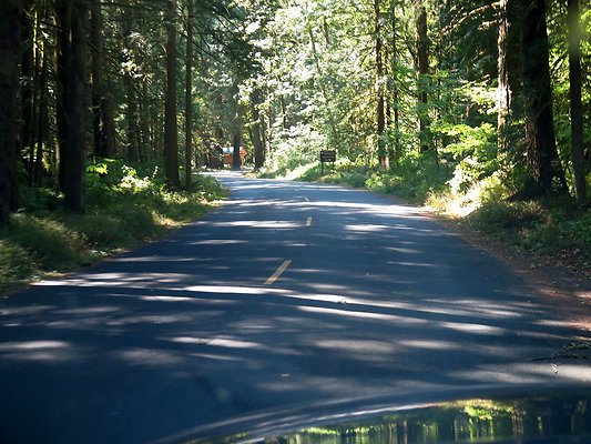 Silverlake park - 69