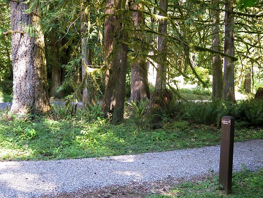 Silverlake park - 95