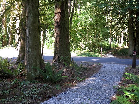 Silverlake park - 102