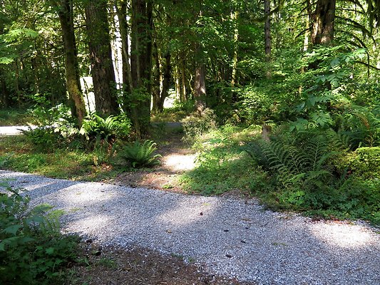 Silverlake park - 14