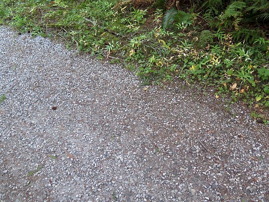 Silverlake park - 100