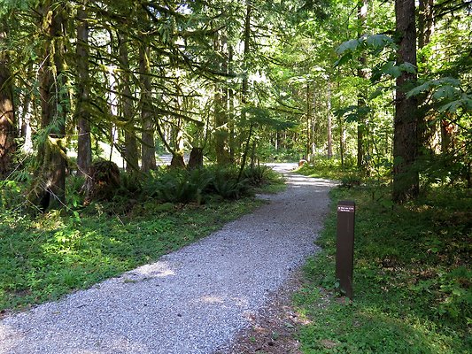 Silverlake park - 97