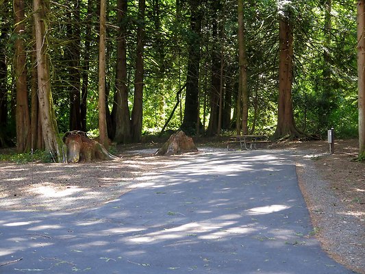 Silverlake park - 116