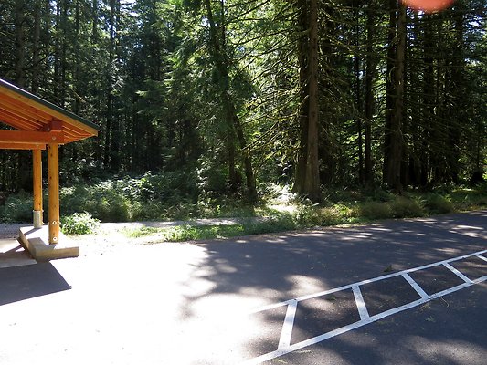 Silverlake park - 80