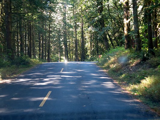 Silverlake park - 66