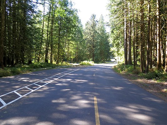 Silverlake park - 82