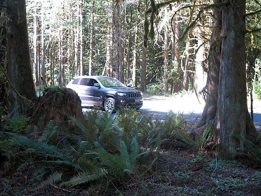 Silverlake park - 101