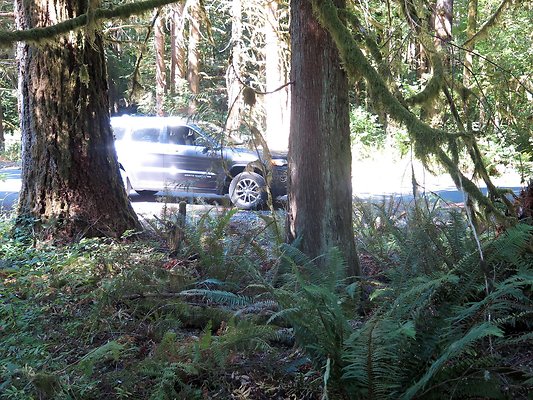 Silverlake park - 98