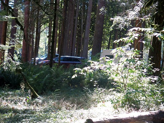 Silverlake park - 105