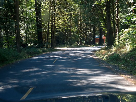 Silverlake park - 72