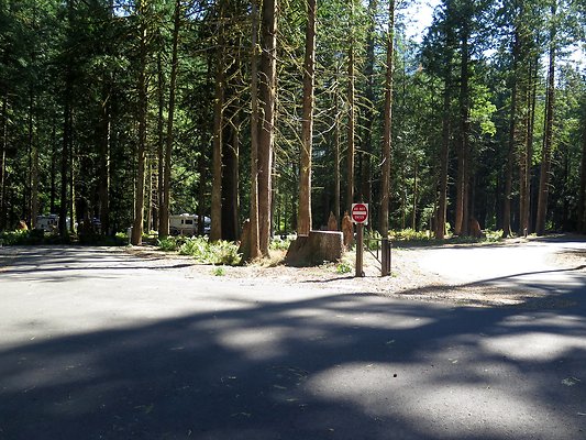 Silverlake park - 115