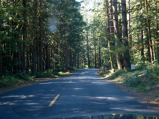 Silverlake park - 64