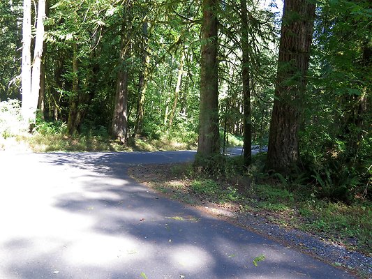 Silverlake park - 11