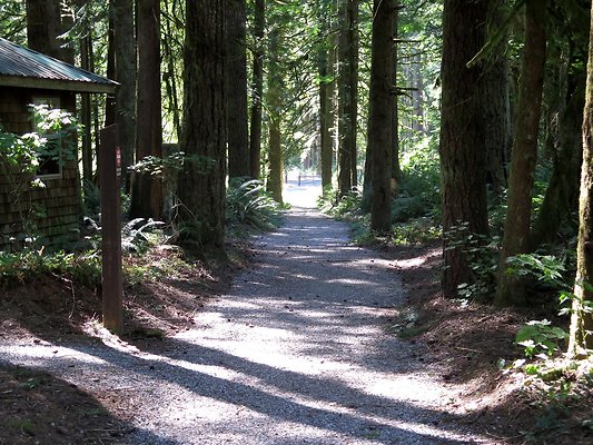 Silverlake park - 87