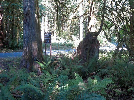 Silverlake park - 104