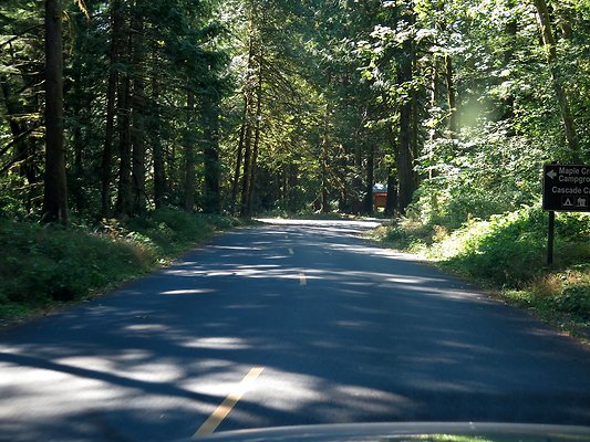 Silverlake park - 71