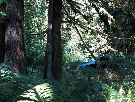 Silverlake park - 17