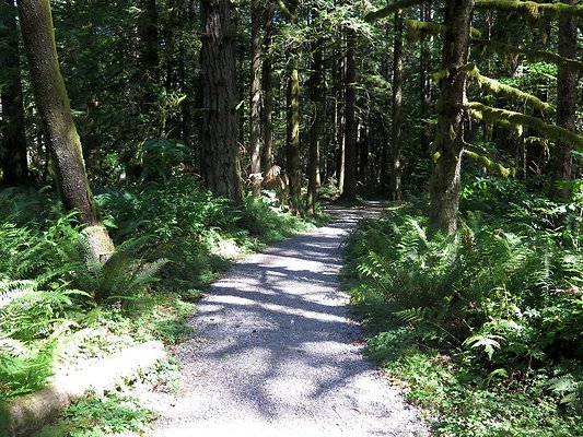 Silverlake park - 16