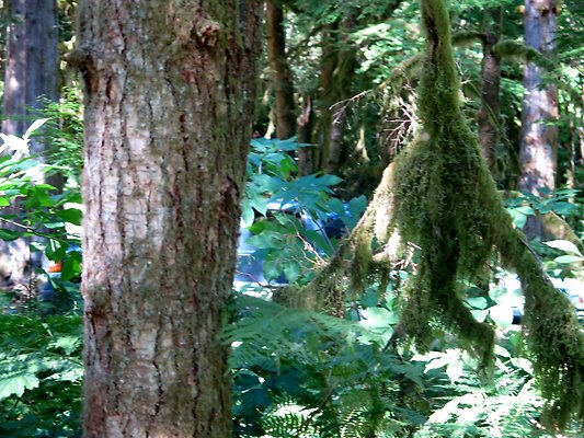 Silverlake park - 18