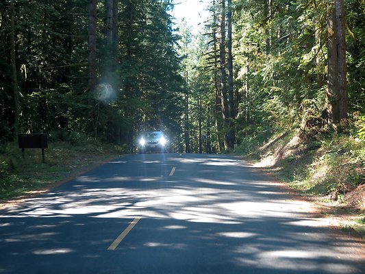 Silverlake park - 63