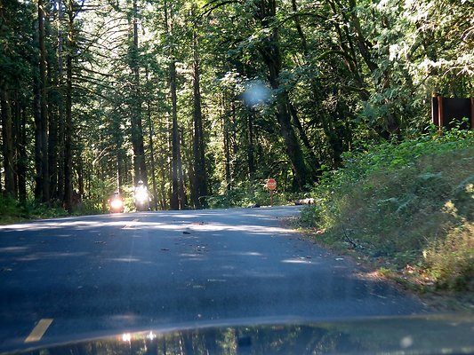 Silverlake park - 67