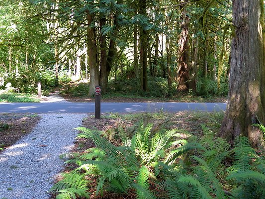 Silverlake park - 103