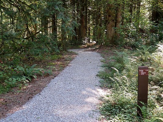 Silverlake park - 84