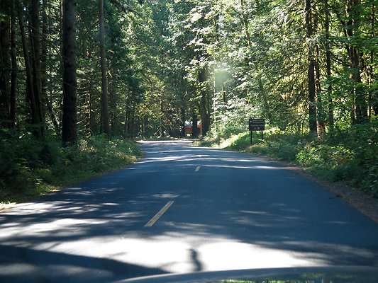 Silverlake park - 70