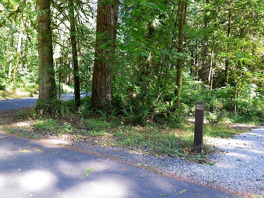 Silverlake park - 12