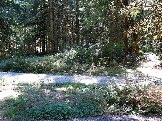 Silverlake park - 77