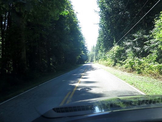 Silverlake park - 122