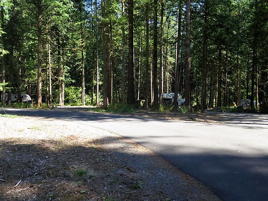 Silverlake park - 113