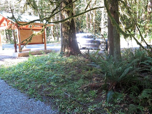 Silverlake park - 99