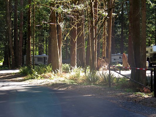 Silverlake park - 111