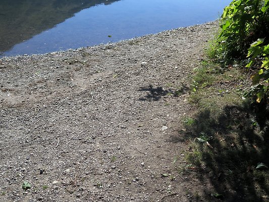 Silverlake park - 23