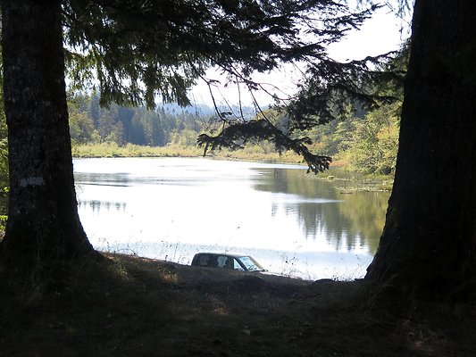 Silverlake park - 50