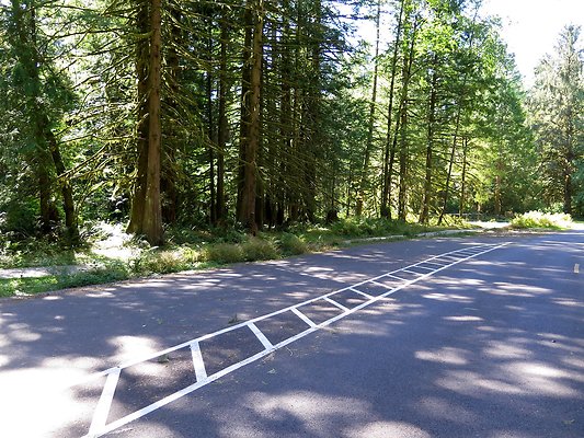 Silverlake park - 81