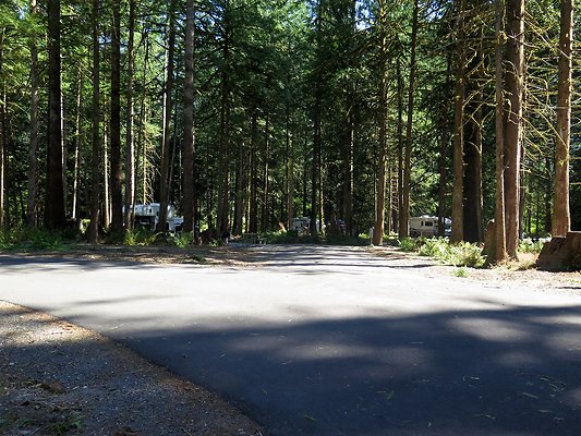 Silverlake park - 114