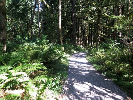 Silverlake park - 15